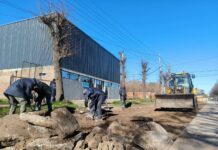 El Municipio interviene en calle Libertad para resolver los problemas generados por una obra inconclusa