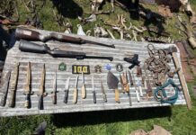 Desbaratan banda de abigeato tras allanamiento en Moreno: secuestran armas, caballos y motos robadas